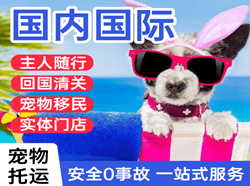 丹东空运公司国际宠物托运 【国